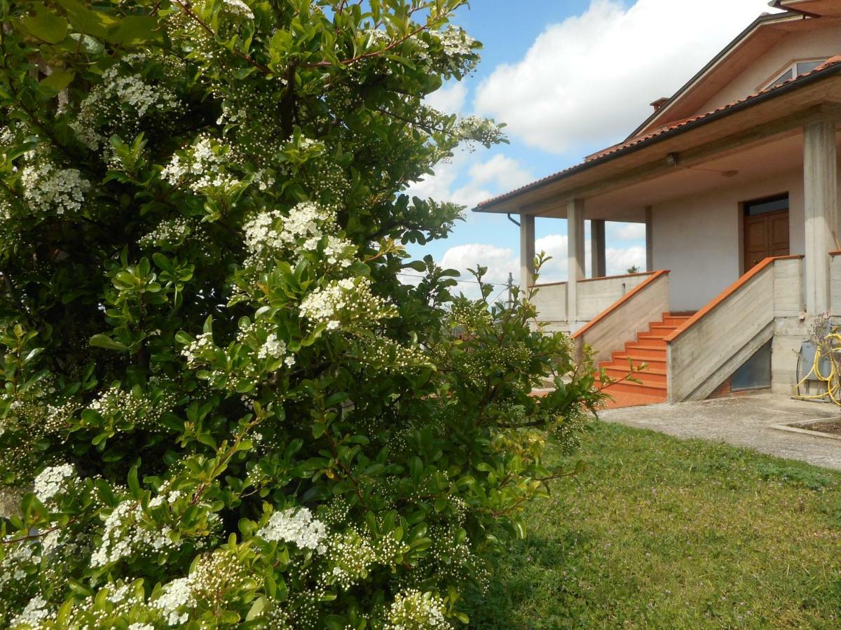 Poggio Fiorito Apartman Castiglion Fiorentino Kültér fotó