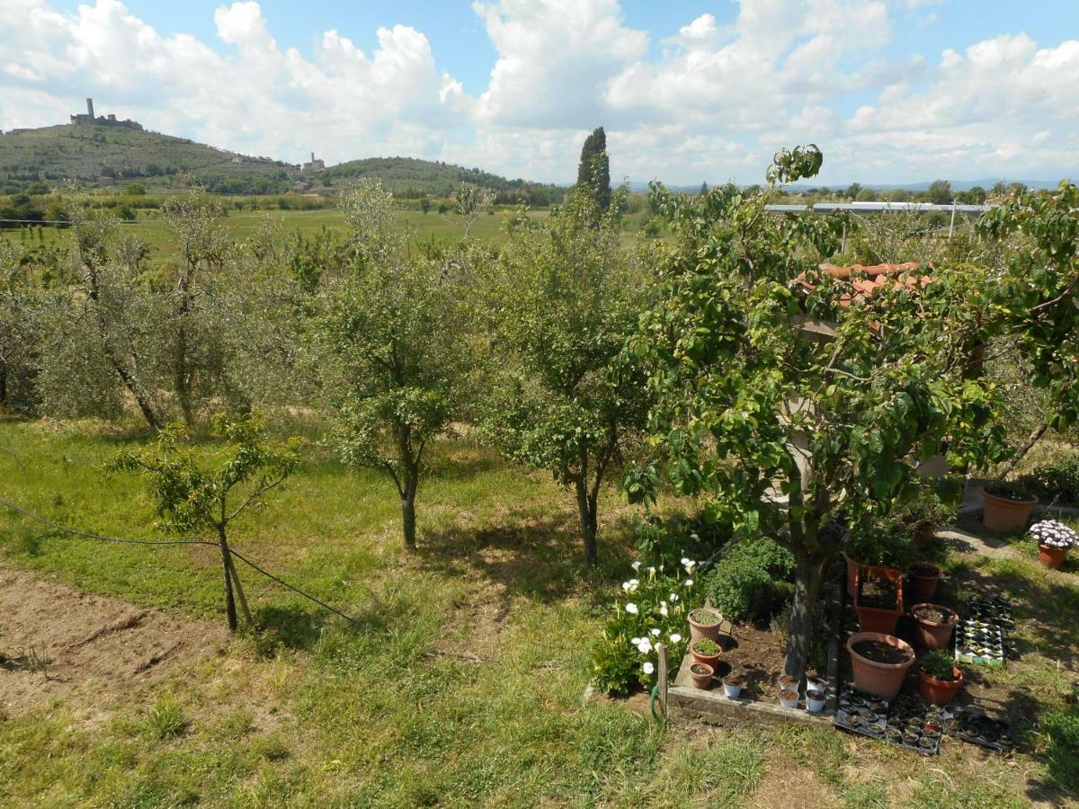 Poggio Fiorito Apartman Castiglion Fiorentino Kültér fotó