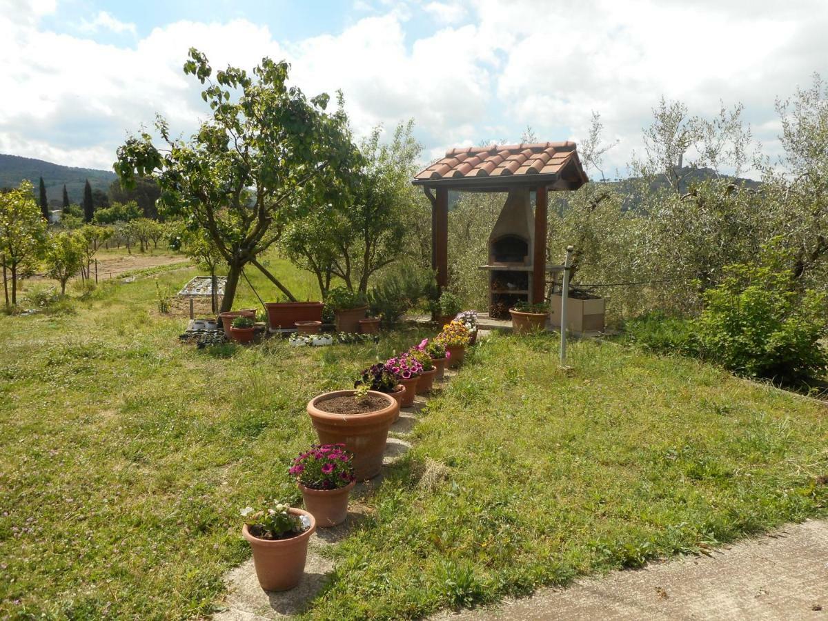 Poggio Fiorito Apartman Castiglion Fiorentino Kültér fotó