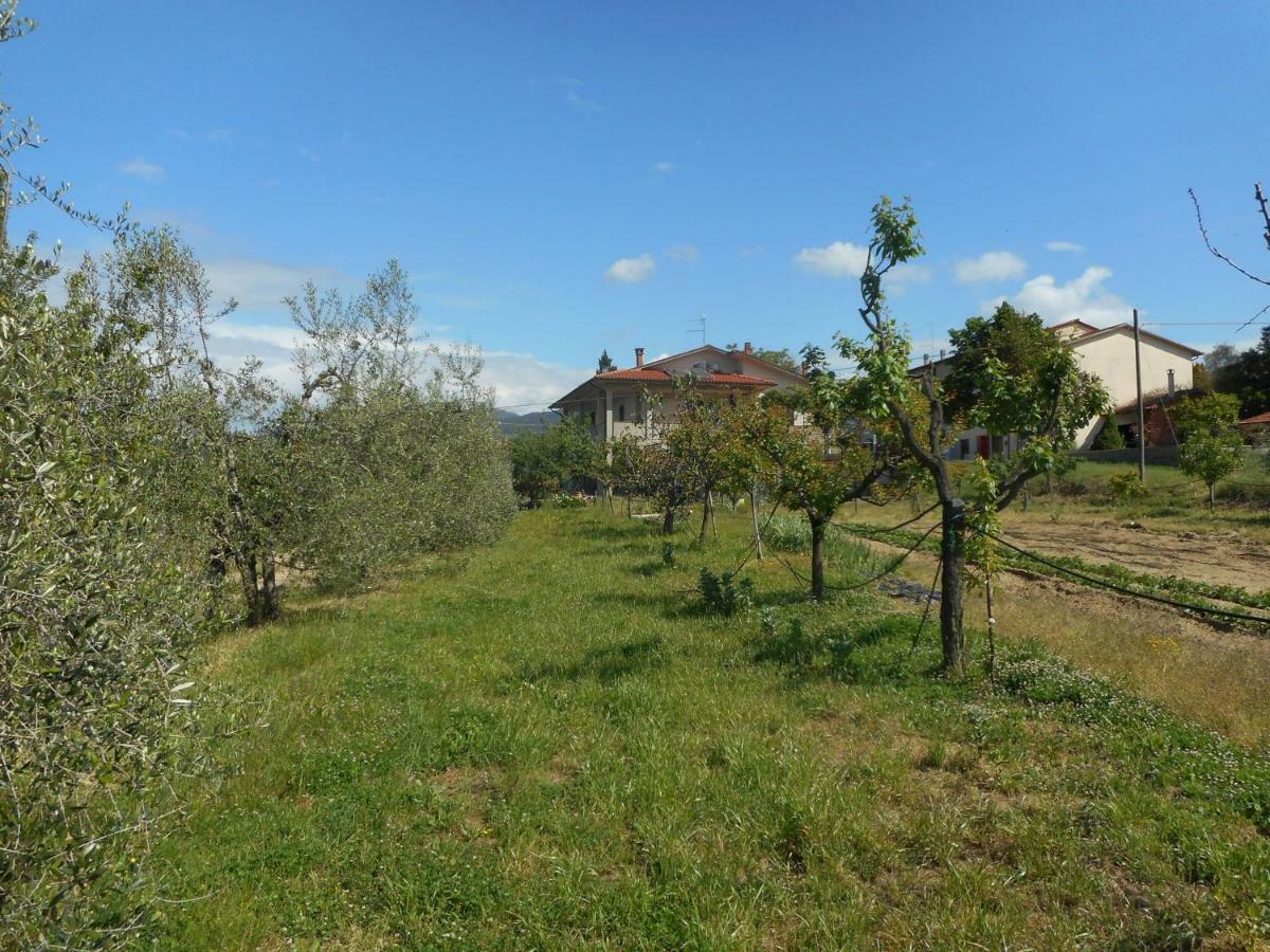 Poggio Fiorito Apartman Castiglion Fiorentino Kültér fotó