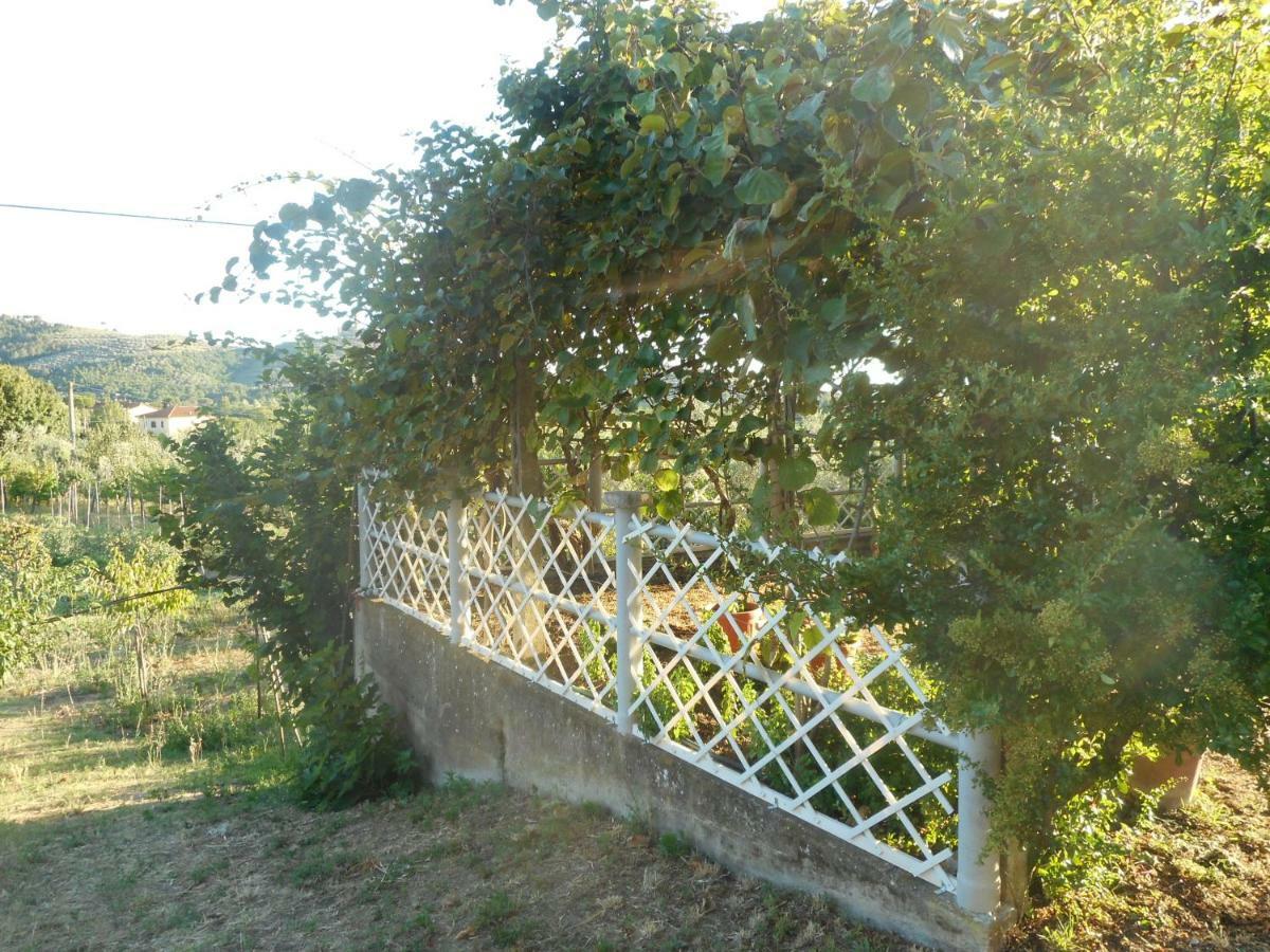 Poggio Fiorito Apartman Castiglion Fiorentino Kültér fotó